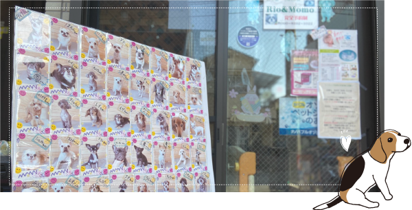 東淀川区、上新庄のドッグサロン・トリミングサロン【Dog Salon Rio&Momo】の店舗イメージ