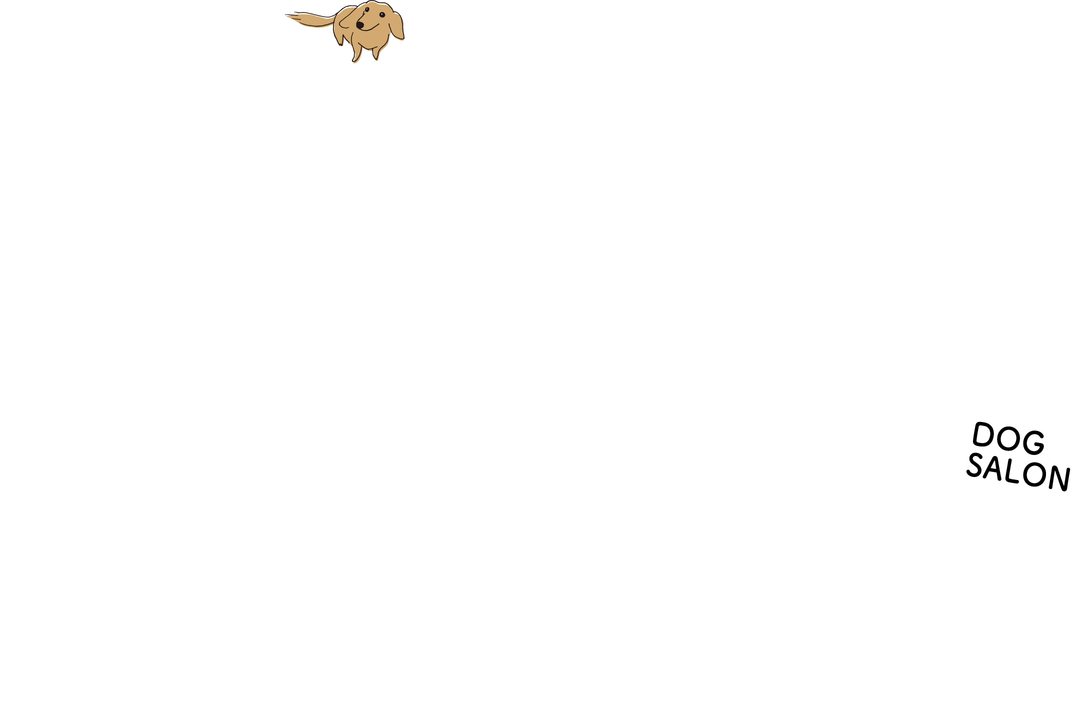 東淀川区、上新庄の飼い主さまとワンちゃんのためのドッグサロン・トリミングサロン【Dog Salon Rio&Momo】